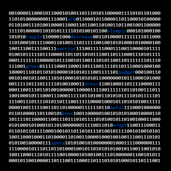 Bitcoin ordinal collection. An inscription as a bunch of digits shaped as square with BIP39 words randomly showed among them